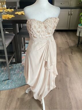 Minuet Petite Strapless Floral Appliqué Dress in Blush
